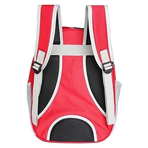 Pet Cat Carrying Bag Space Pet Backpacks Breathable Portable Transparent - Your Pawfect World