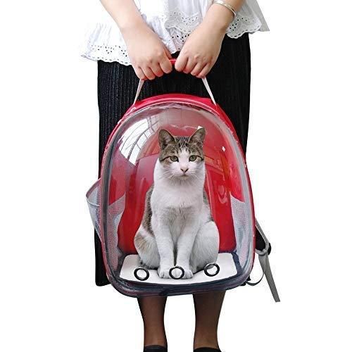 Pet Cat Carrying Bag Space Pet Backpacks Breathable Portable Transparent - Your Pawfect World